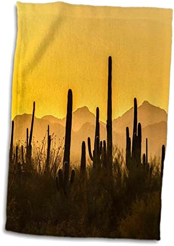 3дРоуз, САЩ, Аризона, Национален парк Saguaro. Пустинята Сонора по залез слънце. - Кърпи (twl-278438-3)
