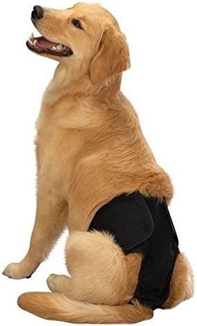 ClearQuest & Clean Go Мъжки Панталони за малки кученца - Миещи Памук за Многократна употреба Тъканни Памперси за кучета