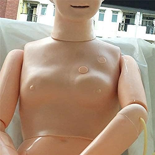 Образователна модел RRGJ, 11 Професионални Манекени за Грижи за пациенти от Мъжки пол с Измерване на Кръвното налягане на ръката, Модел